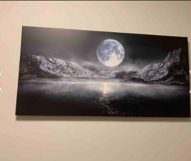 Muhteşem Ay Işığı Manzarası Dekoratif Kanvas Tablo - VOOV1648 photo review
