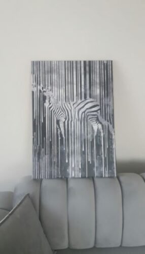 Gümüş Zebra Dekoratif Kanvas Tablo - VOOV2009 photo review