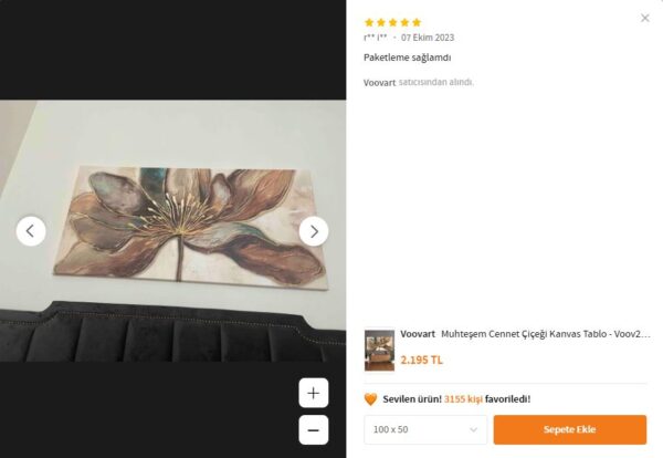 Muhteşem CENNET ÇİÇEĞİ Kanvas Tablo - VOOV2525