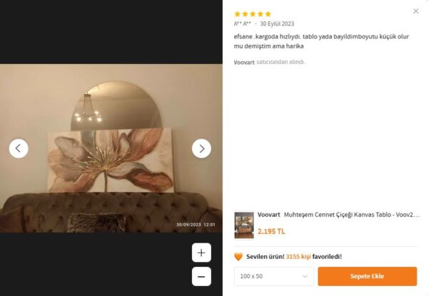 Muhteşem CENNET ÇİÇEĞİ Kanvas Tablo - VOOV2525