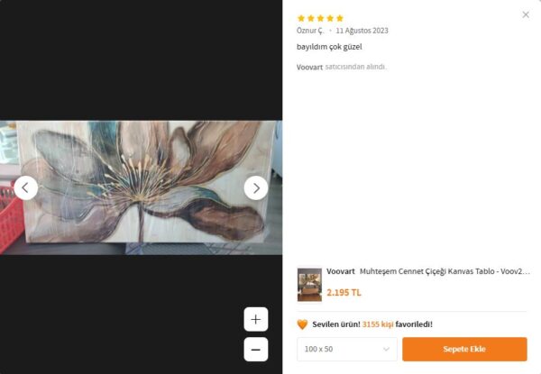 Muhteşem CENNET ÇİÇEĞİ Kanvas Tablo - VOOV2525