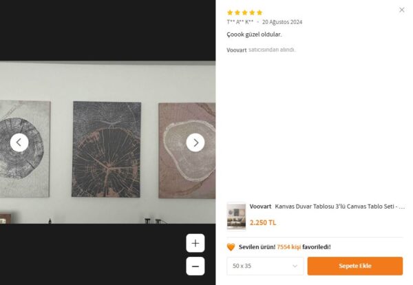 Kanvas Duvar Tablosu 3'lü Canvas Tablo Seti - VOOV4186