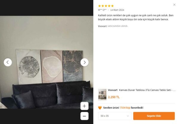 Kanvas Duvar Tablosu 3'lü Canvas Tablo Seti - VOOV4186