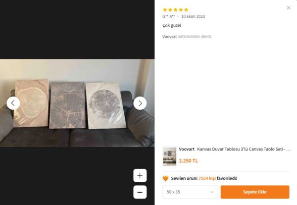 Kanvas Duvar Tablosu 3'lü Canvas Tablo Seti - VOOV4186