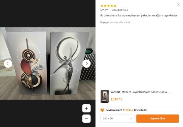 Modern Soyut Dekoratif Kanvas Tablo - VOOV2353