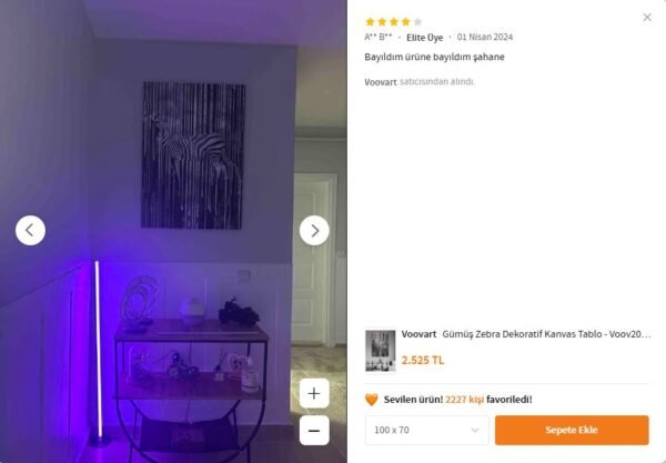 Gümüş Zebra Dekoratif Kanvas Tablo - VOOV2009