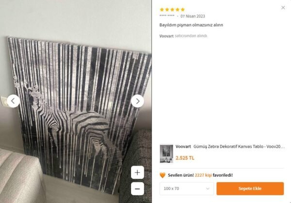 Gümüş Zebra Dekoratif Kanvas Tablo - VOOV2009