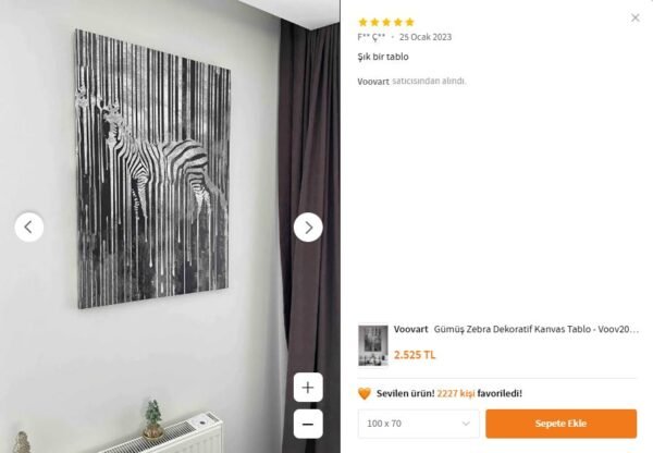 Gümüş Zebra Dekoratif Kanvas Tablo - VOOV2009