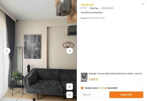 Gümüş Zebra Dekoratif Kanvas Tablo - VOOV2009