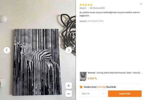 Gümüş Zebra Dekoratif Kanvas Tablo - VOOV2009