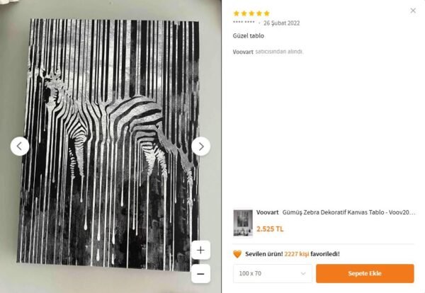 Gümüş Zebra Dekoratif Kanvas Tablo - VOOV2009