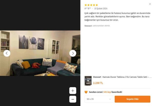 Kanvas Duvar Tablosu 3'lü Canvas Tablo Seti - VOOV4235