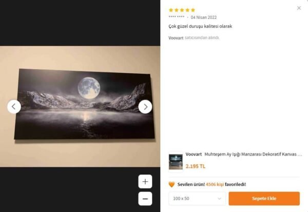 Muhteşem Ay Işığı Manzarası Dekoratif Kanvas Tablo - VOOV1648