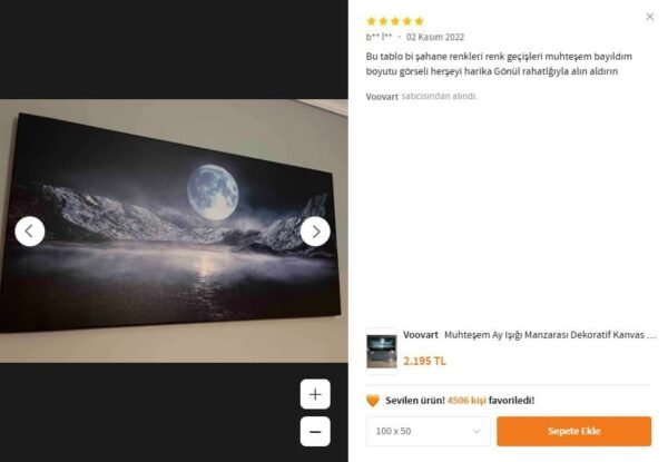 Muhteşem Ay Işığı Manzarası Dekoratif Kanvas Tablo - VOOV1648