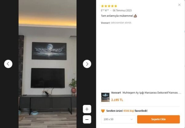 Muhteşem Ay Işığı Manzarası Dekoratif Kanvas Tablo - VOOV1648