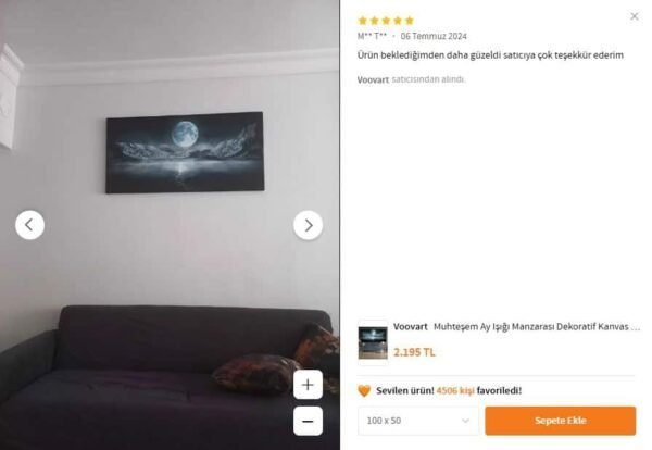 Muhteşem Ay Işığı Manzarası Dekoratif Kanvas Tablo - VOOV1648