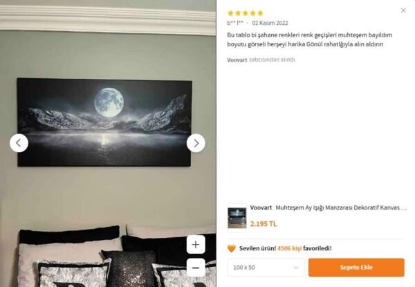 Muhteşem Ay Işığı Manzarası Dekoratif Kanvas Tablo - VOOV1648