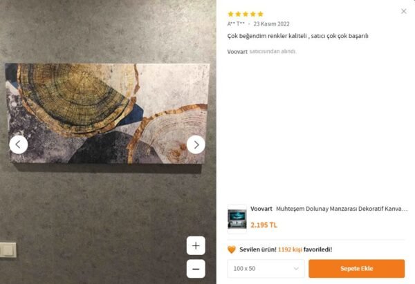 Soyut Dekoratif Kanvas Tablo - VOOV2154