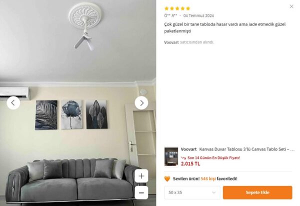 Kanvas Duvar Tablosu 3'lü Canvas Tablo Seti - VOOV4235