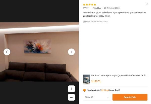 Muhteşem Soyut Çiçek Dekoratif Kanvas Tablo - VOOV2420