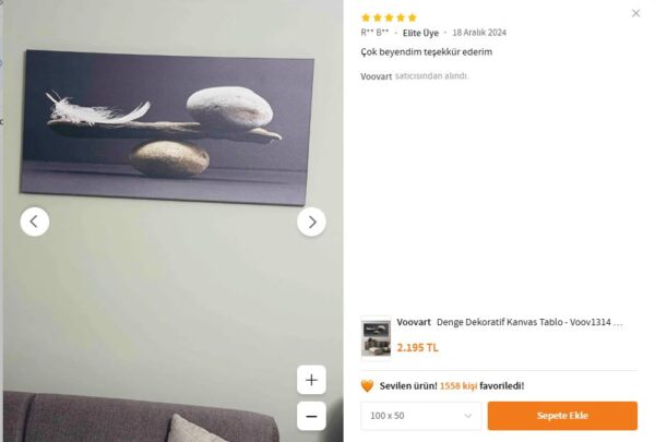 Taş ve Tüy Denge Dekoratif Kanvas Tablo - VOOV1314