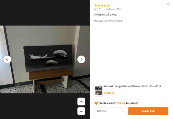 Taş ve Tüy Denge Dekoratif Kanvas Tablo - VOOV1314