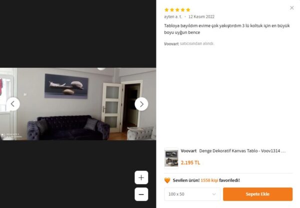 Taş ve Tüy Denge Dekoratif Kanvas Tablo - VOOV1314