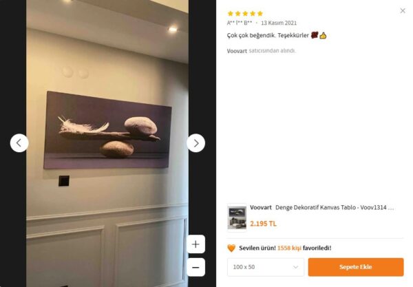 Taş ve Tüy Denge Dekoratif Kanvas Tablo - VOOV1314