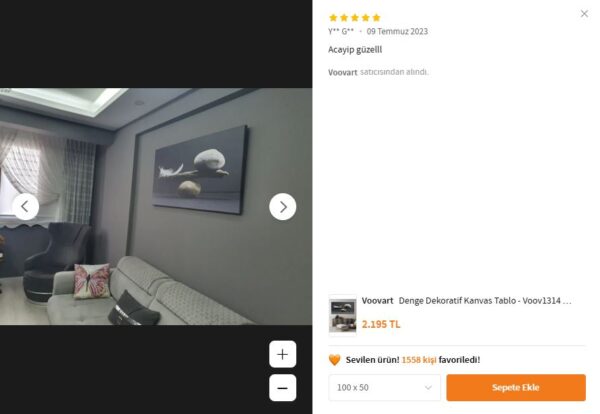 Taş ve Tüy Denge Dekoratif Kanvas Tablo - VOOV1314