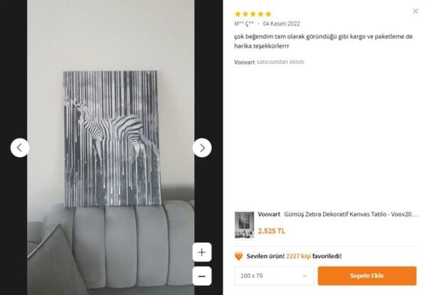 Gümüş Zebra Dekoratif Kanvas Tablo - VOOV2009