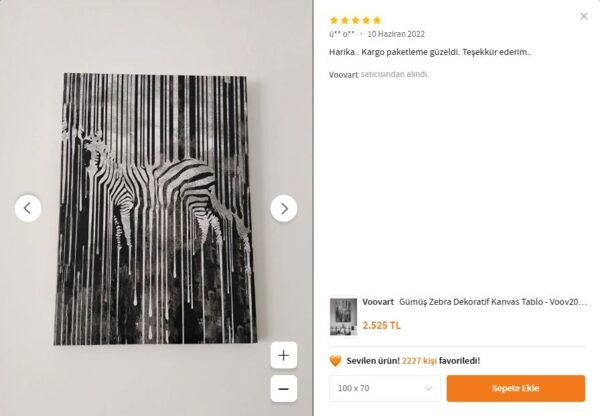 Gümüş Zebra Dekoratif Kanvas Tablo - VOOV2009