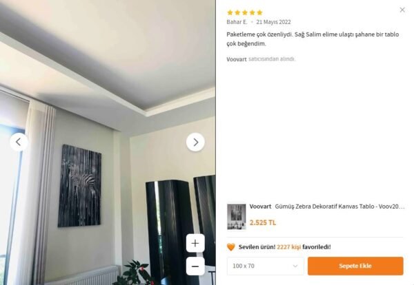 Gümüş Zebra Dekoratif Kanvas Tablo - VOOV2009