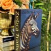 ZEBRA TRAILS DEKORATİF KUTU KİTAP - ART1167