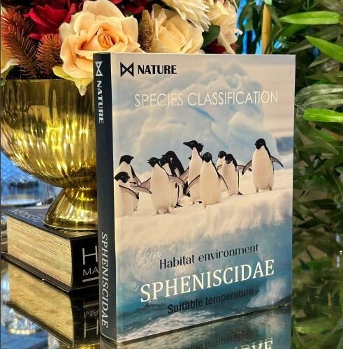 SPHENISCIDAE DEKORATİF KUTU KİTAP - ART1168